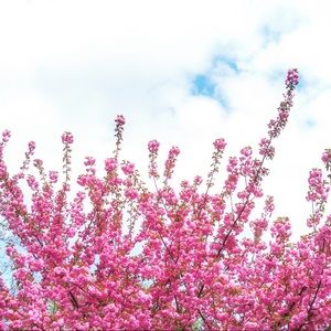 Meet your Posher, Will